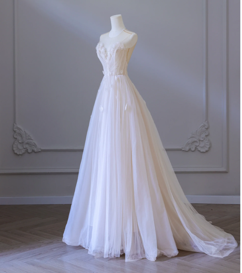 V-neck open-back sleeveless appliquéd Pomecian A-line tulle long ball gown